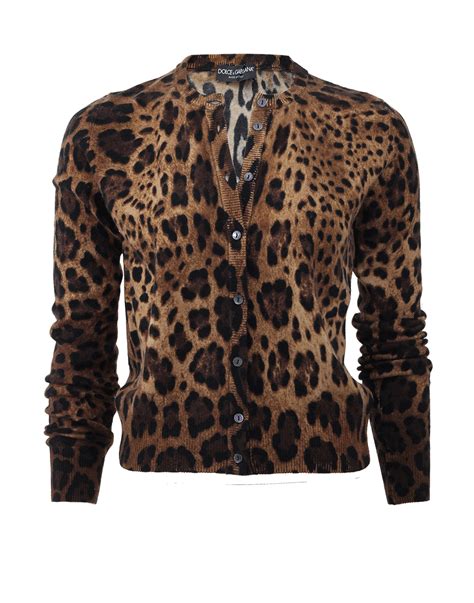 dolce gabbana leopard sweater|dolce & gabbana sweater coat.